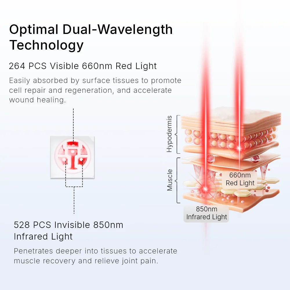 Diagram showing dual-wavelength red and infrared light therapy penetrating skin layers.